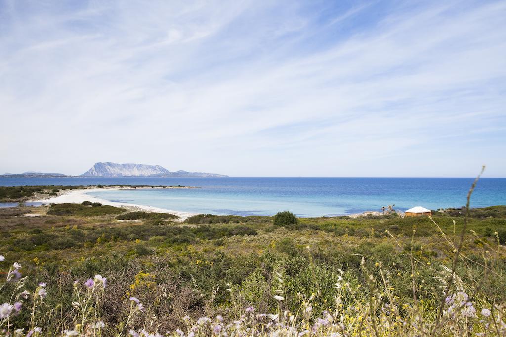 Residence Approdo Verde San Teodoro  Kültér fotó