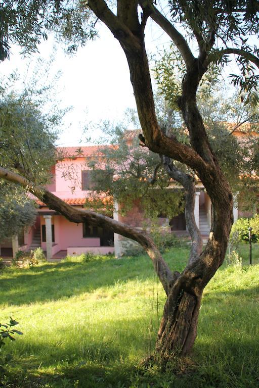 Residence Approdo Verde San Teodoro  Szoba fotó